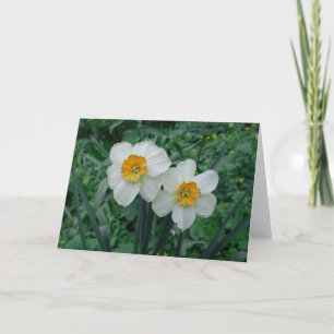 Daffodil Flowers Kaart
