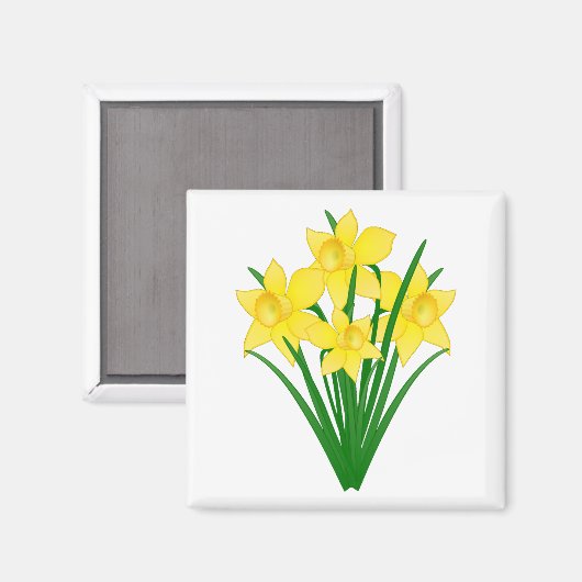 Daffodil Flowers Magneet (Voorkant / Achterkant)