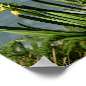 Daffodil Flowers on Pacific Coast, portret 1 van 2 Poster (Hoek)