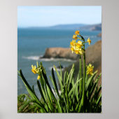 Daffodil Flowers on Pacific Coast, portret 1 van 2 Poster (Voorkant)