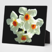 Daffodil Flowers op Gift Products Fotoplaat (Zijkant)