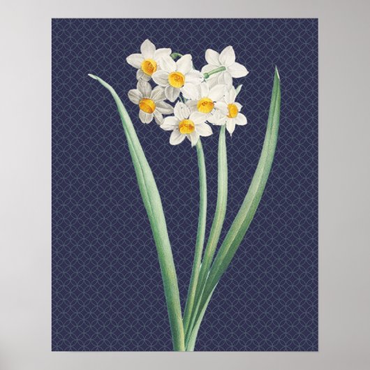 Daffodil Flowers  Retro Art Poster (Voorkant)