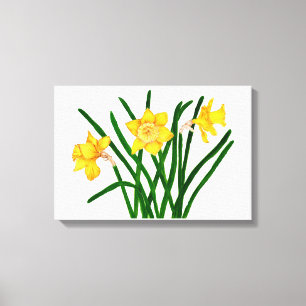 Daffodil Flowers Waterverf Schilderkunst Canvas Afdruk