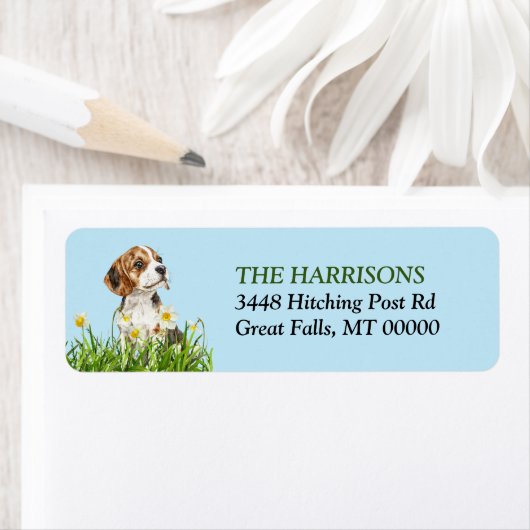 Daffodil Garden Beagle Dog Puppy Etiket (Insitu)