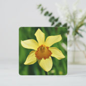 Daffodil Groeten Kaart (Staand voorkant)