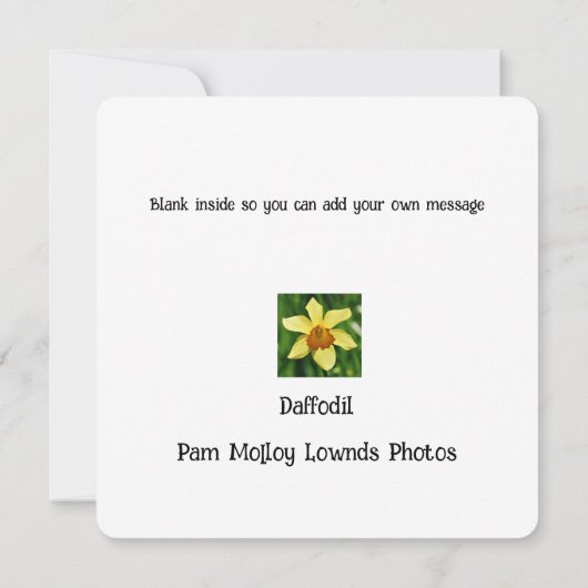 Daffodil Groeten Kaart (Achterkant)