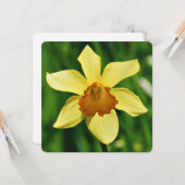 Daffodil Groeten Kaart (Voorkant / Achterkant in situ)