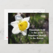 Daffodil Happiness Fotografie & Quote Briefkaart (Voorkant / Achterkant)