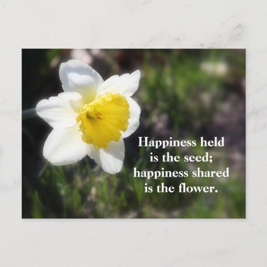 Daffodil Happiness Fotografie & Quote Briefkaart (Voorkant)