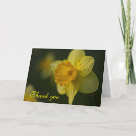 Daffodil Hartelijk dank Bedankkaart