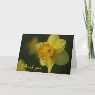 Daffodil Hartelijk dank Bedankkaart