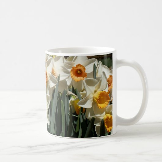 Daffodil Hill Koffiemok (Rechts)
