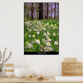 Daffodil Hill Poster (Keuken)