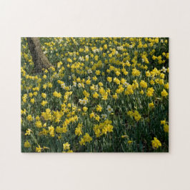 Daffodil Hill - Sunlit Yellow and White Flowers Legpuzzel