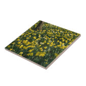 Daffodil Hill - Sunlit Yellow and White Flowers Tegeltje (Zijkant)