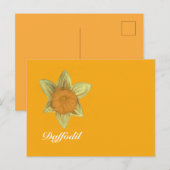 Daffodil Horizontale Briefkaart Sinaasappel (Voorkant / Achterkant)