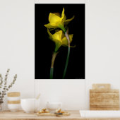 Daffodil I Poster (Keuken)