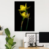 Daffodil I Poster (Thuiskantoor)