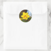 Daffodil in het Park Ronde Sticker (Tas)