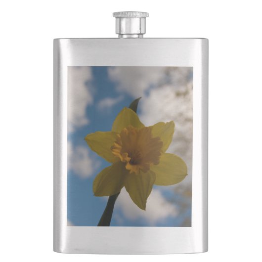 Daffodil in het voorjaar flacon (Voorkant)