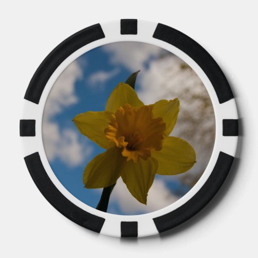 Daffodil in het voorjaar poker chips (Voorkant)