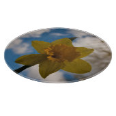 Daffodil in het voorjaar snijplank (Hoek)