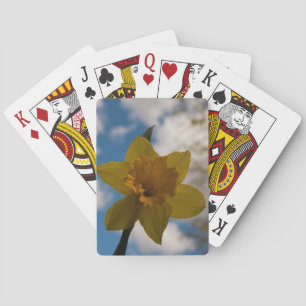 Daffodil in het voorjaar speelkaarten