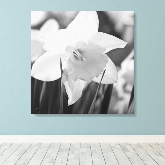 Daffodil in zwart-wit canvas afdruk (Insitu (Houten vloer))