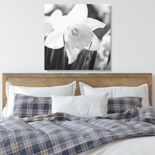 Daffodil in zwart-wit canvas afdruk (Insitu (Slaapkamer))