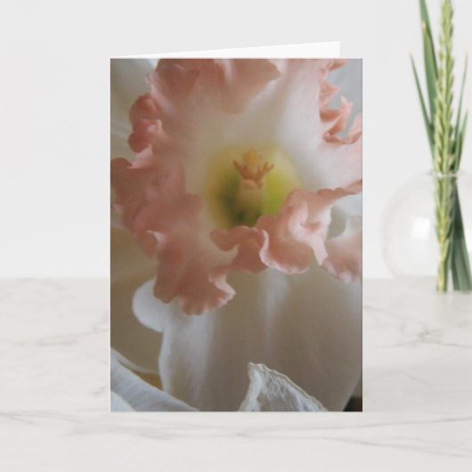 Daffodil Kaart (Voorkant)