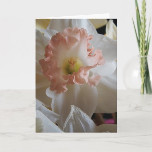 Daffodil Kaart (Voorkant)