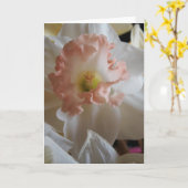 Daffodil Kaart (Gele Bloem)