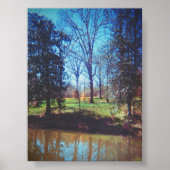  Daffodil Lake fotografie Poster (Voorkant)