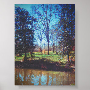 Daffodil Lake fotografie Poster