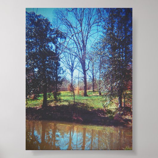  Daffodil Lake fotografie Poster (Voorkant)