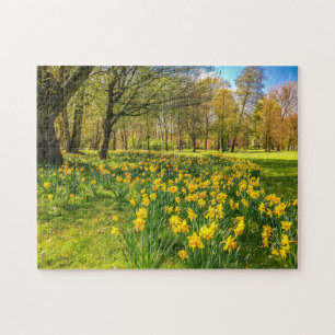 DAFFODIL LEGPUZZEL