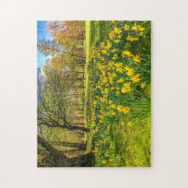 DAFFODIL LEGPUZZEL
