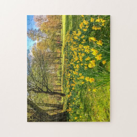 DAFFODIL LEGPUZZEL (Verticaal)