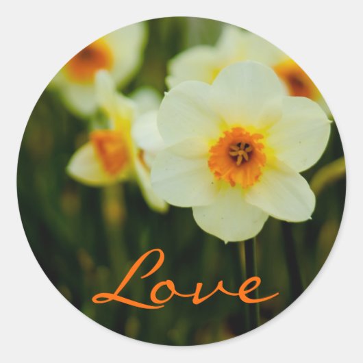 Daffodil · Love Sticker (Voorkant)