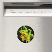 Daffodil Magnet (Insitu (Vaatwasser))
