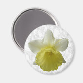 Daffodil Magnet (Voorkant / Achterkant)