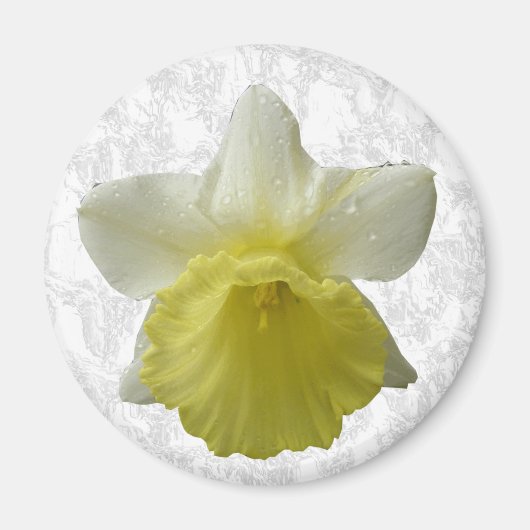 Daffodil Magnet (Voorkant)