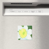 Daffodil Magnet (Insitu (Vaatwasser))