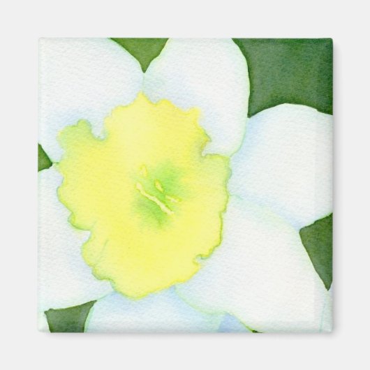 Daffodil Magnet (Voorkant)