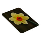 Daffodil Magnet Magneet (Rechterzijde)