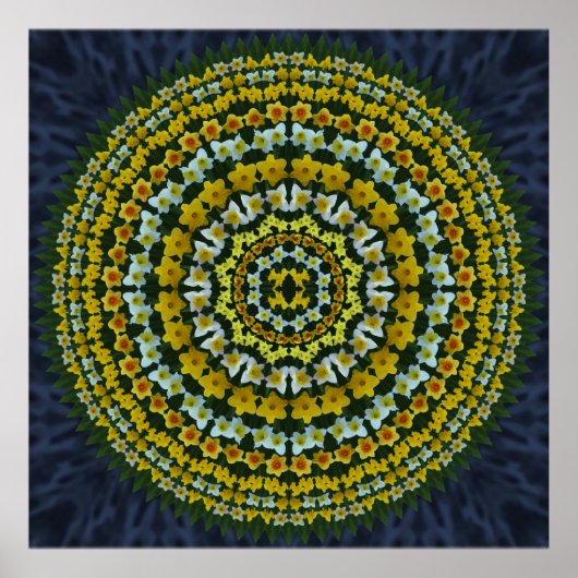 Daffodil Mandala Poster (Voorkant)