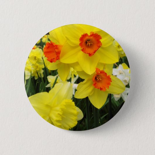 Daffodil Mix Simple Ronde Button 5,7 Cm (Voorkant)