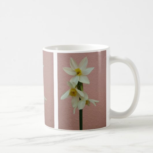 Daffodil-Mok Koffiemok (Rechts)