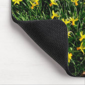 Daffodil/Narcissus Muismat (Hoek)