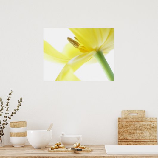 Daffodil/Narcissus Poster (Keuken)